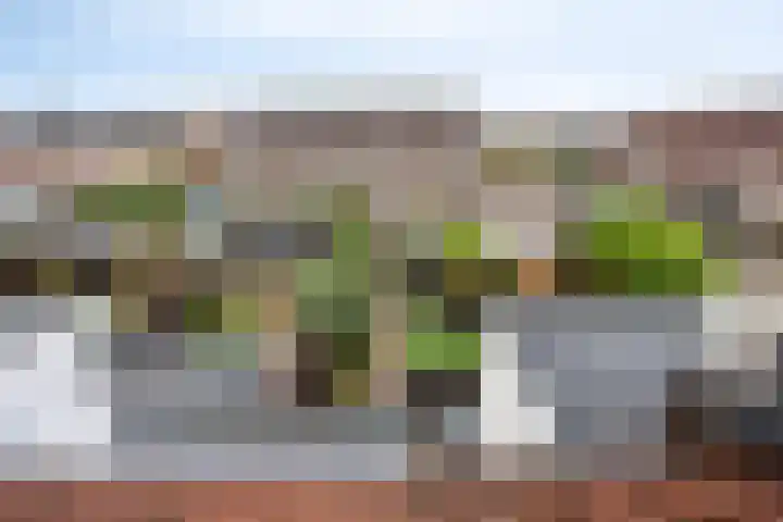 Dahliastraat 29 Nieuwendijk thumbnail 28