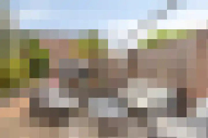 Dahliastraat 29 Nieuwendijk thumbnail 29