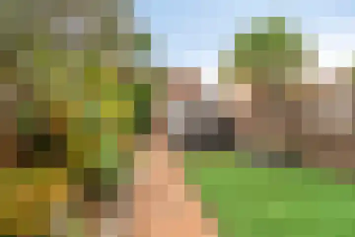 Dahliastraat 29 Nieuwendijk thumbnail 30
