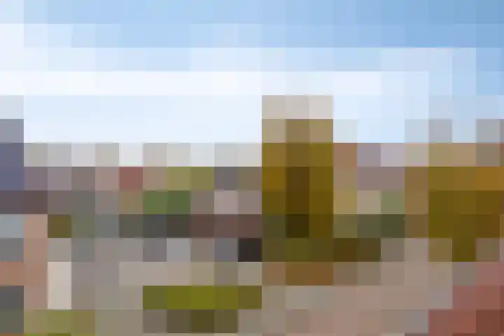 Dahliastraat 29 Nieuwendijk thumbnail 34