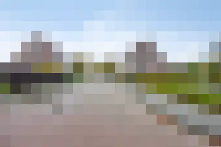 Dahliastraat 29 Nieuwendijk thumbnail 35