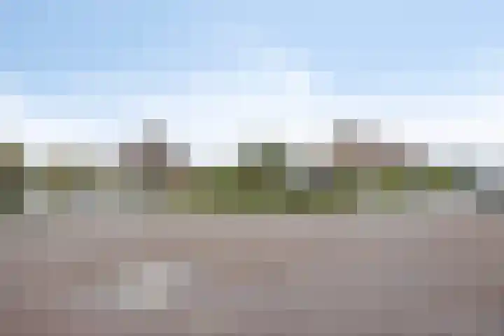 Dahliastraat 29 Nieuwendijk thumbnail 36