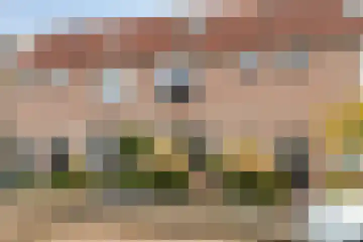 Dahliastraat 29 Nieuwendijk thumbnail 5