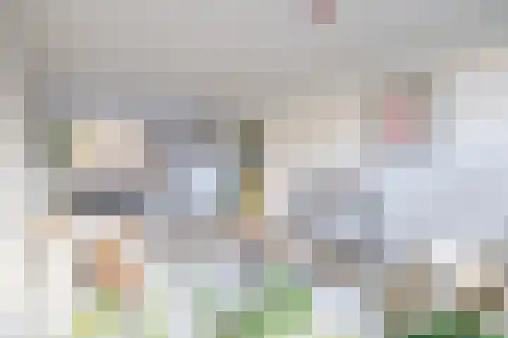 Dahliastraat 3 Didam thumbnail 10