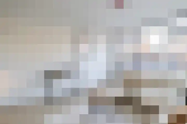 Dahliastraat 3 Didam thumbnail 11