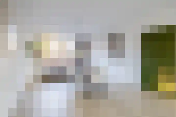 Dahliastraat 3 Didam thumbnail 13