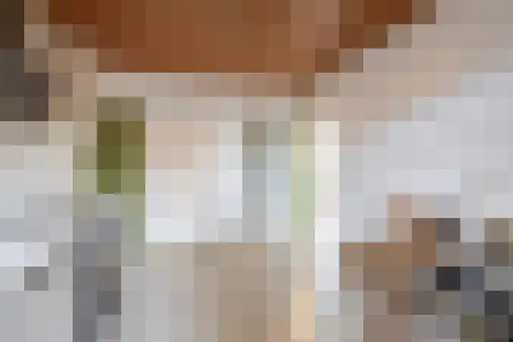 Dahliastraat 3 Didam thumbnail 14