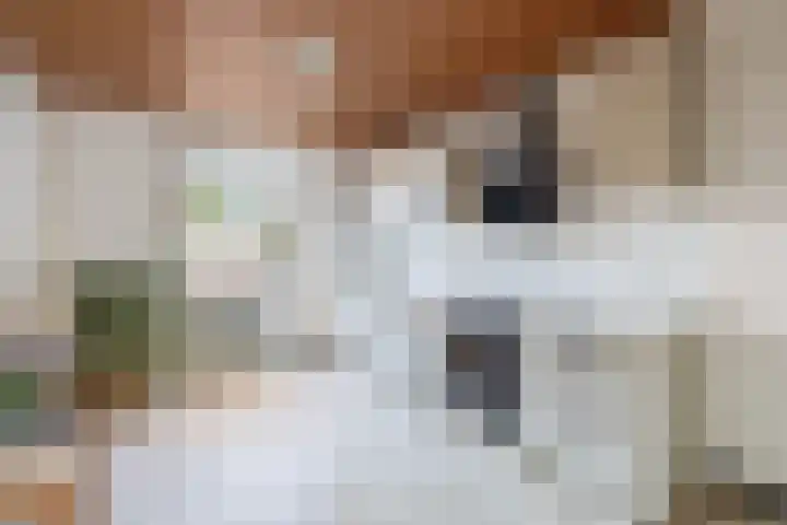 Dahliastraat 3 Didam thumbnail 15