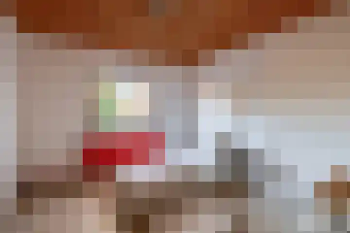 Dahliastraat 3 Didam thumbnail 22