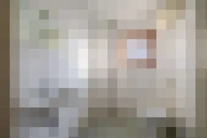 Dahliastraat 3 Didam thumbnail 25