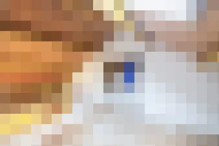 Dahliastraat 3 Didam thumbnail 29