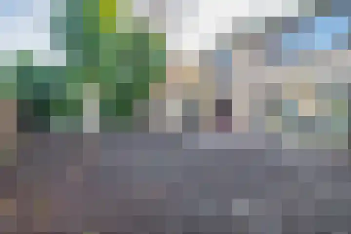 Dahliastraat 3 Didam thumbnail 31