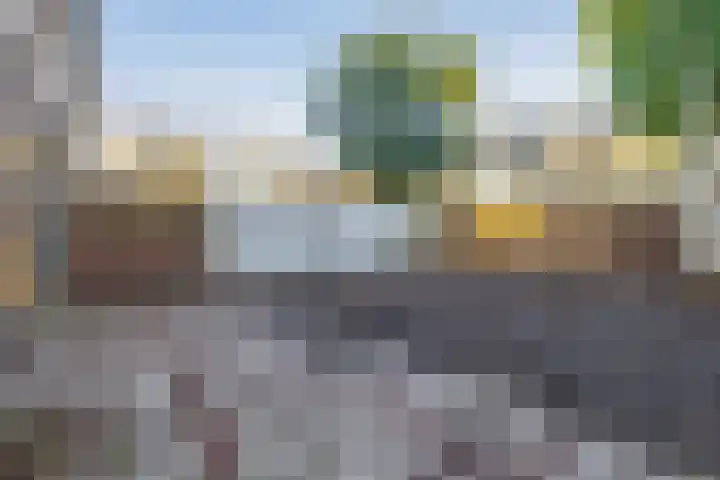 Dahliastraat 3 Didam thumbnail 33