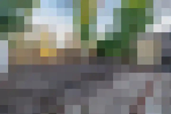 Dahliastraat 3 Didam thumbnail 34