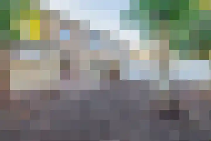 Dahliastraat 3 Didam thumbnail 7