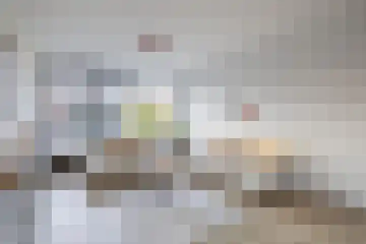 Dahliastraat 3 Didam thumbnail 8