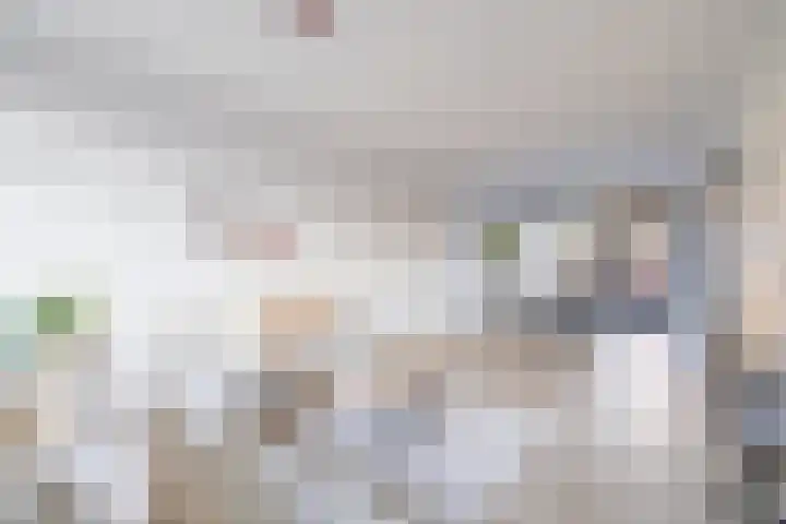 Dahliastraat 3 Didam thumbnail 9
