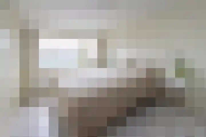 Dahliastraat 3 Eerbeek thumbnail 10