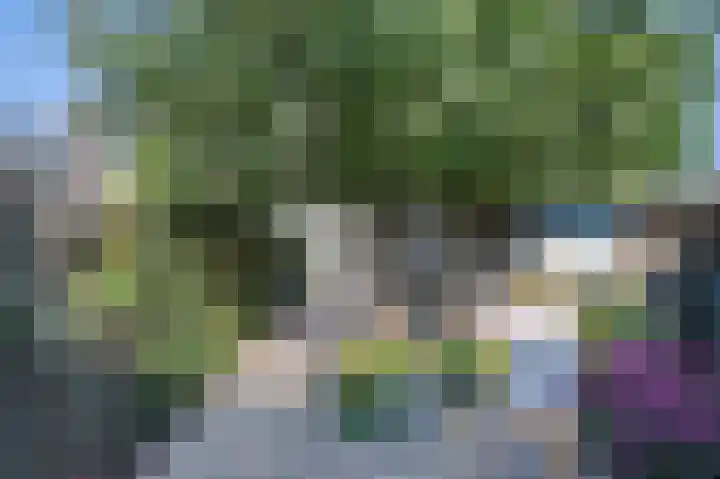 Dahliastraat 3 Eerbeek thumbnail 19