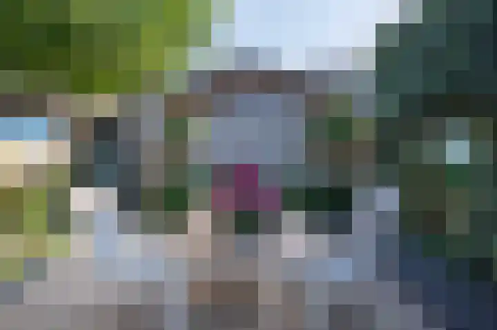 Dahliastraat 3 Eerbeek thumbnail 20