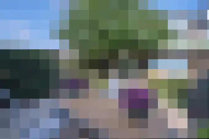 Dahliastraat 3 Eerbeek thumbnail 21