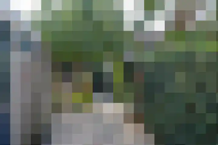 Dahliastraat 3 Eerbeek thumbnail 22