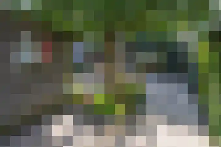 Dahliastraat 3 Eerbeek thumbnail 23