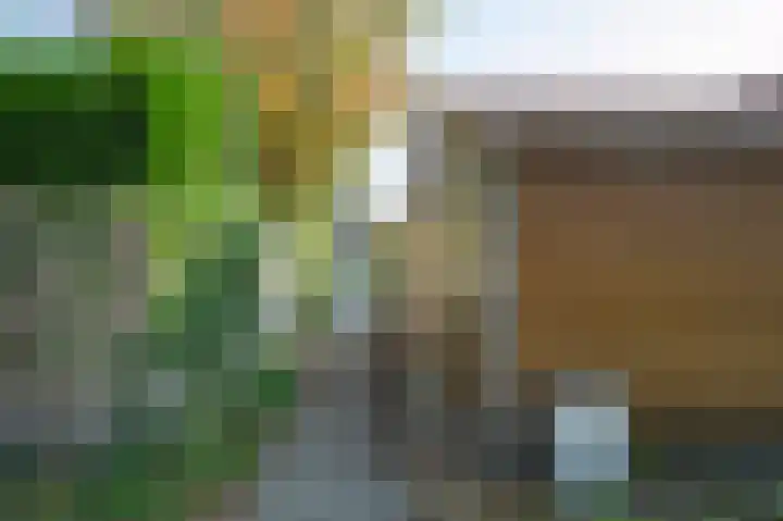 Dahliastraat 3 Eerbeek thumbnail 24
