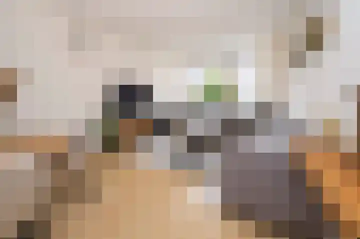 Dahliastraat 3 Eerbeek thumbnail 4