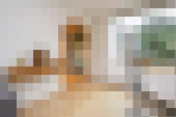 Dahliastraat 3 Eerbeek thumbnail 6