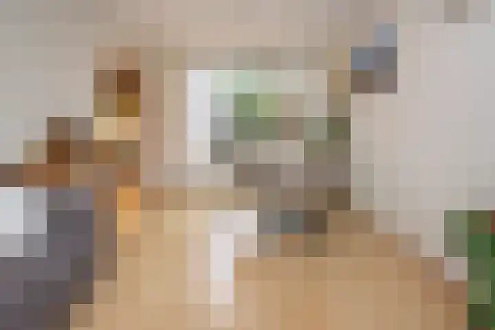 Dahliastraat 3 Eerbeek thumbnail 7