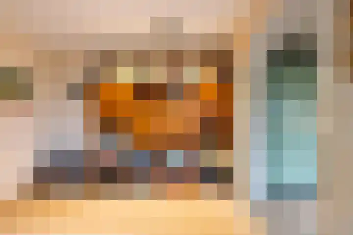 Dahliastraat 3 Eerbeek thumbnail 8