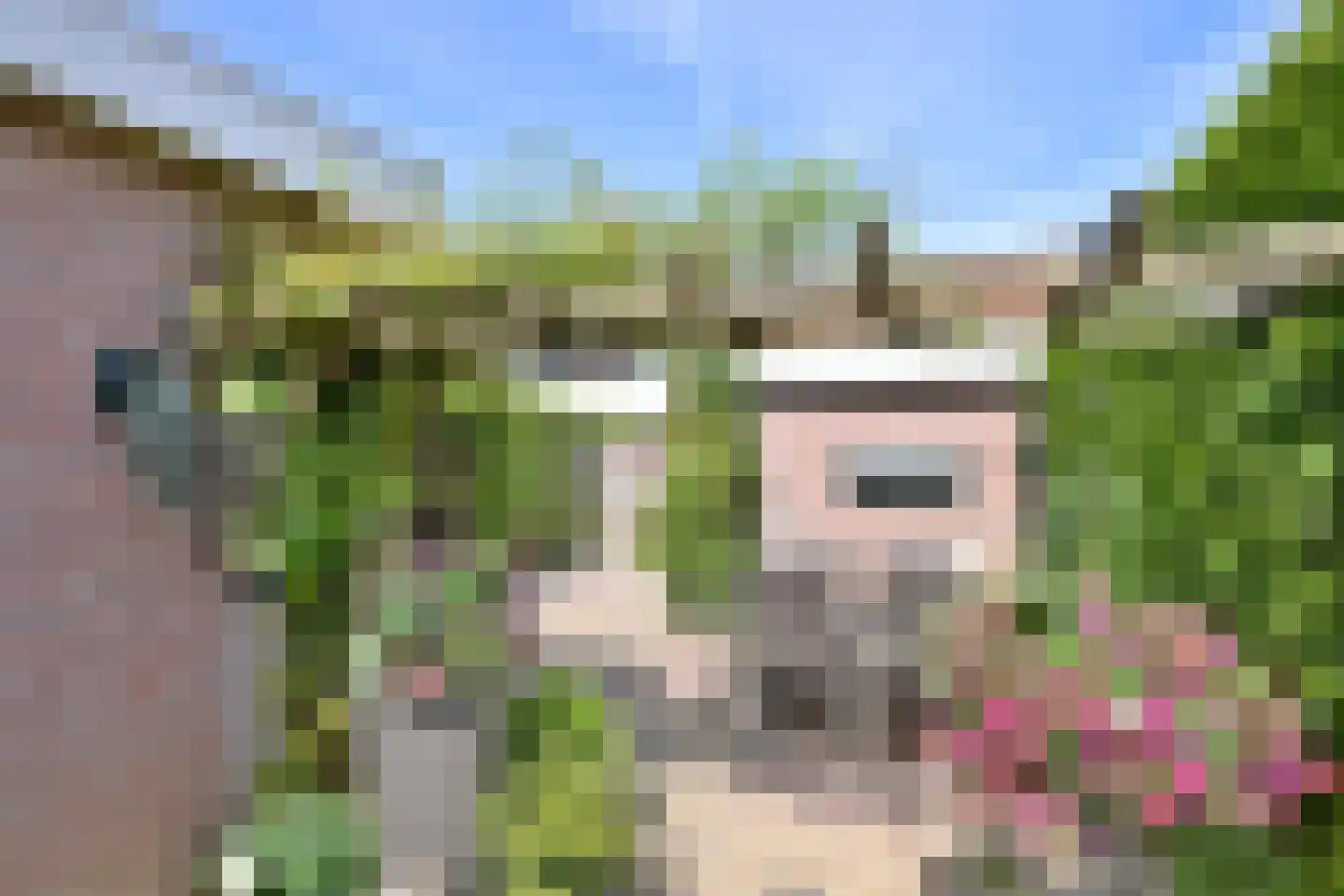 Dahliastraat 3 Olst thumbnail 13