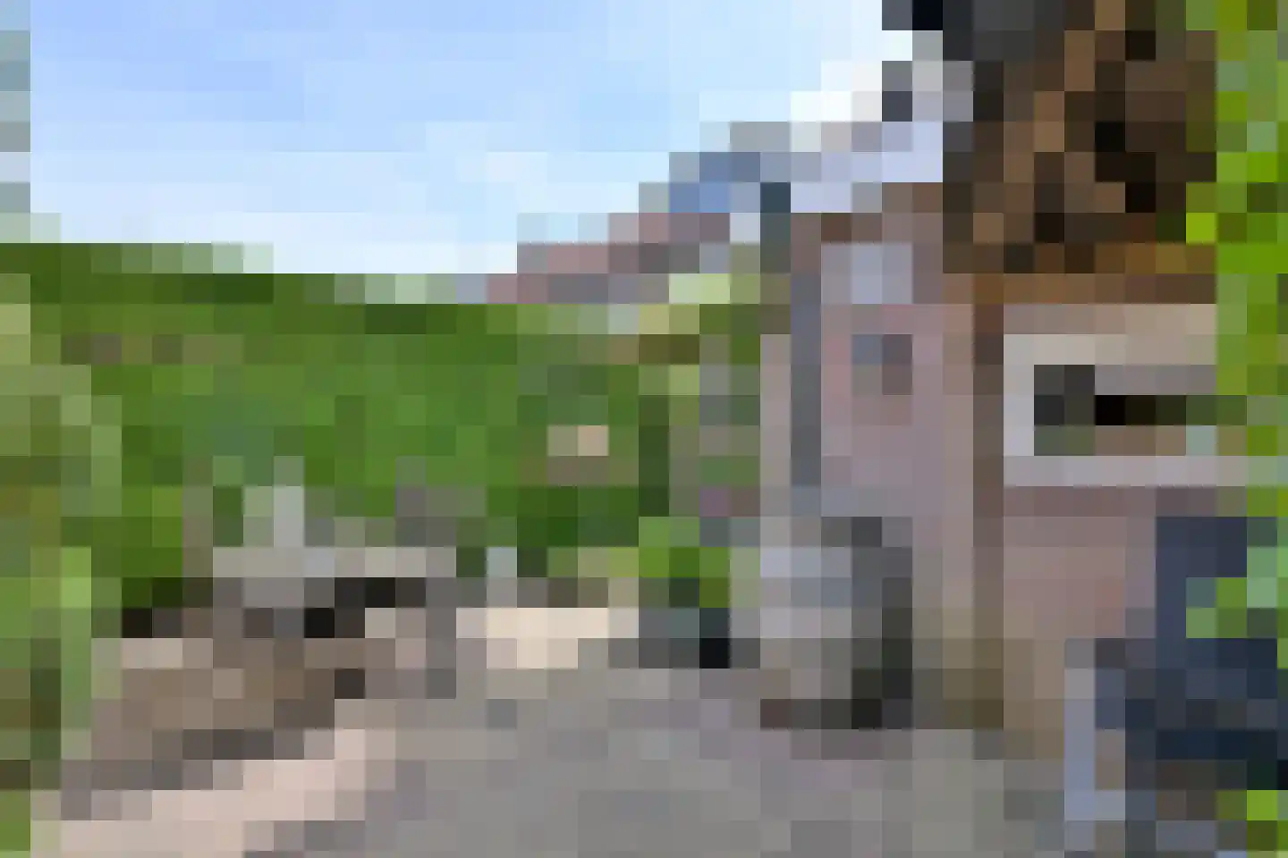 Dahliastraat 3 Olst thumbnail 15