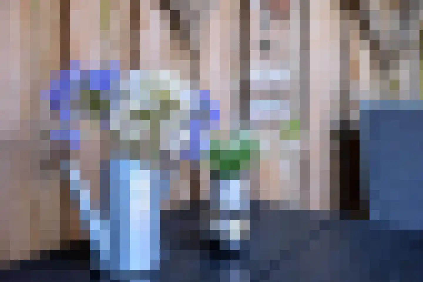 Dahliastraat 3 Olst thumbnail 17