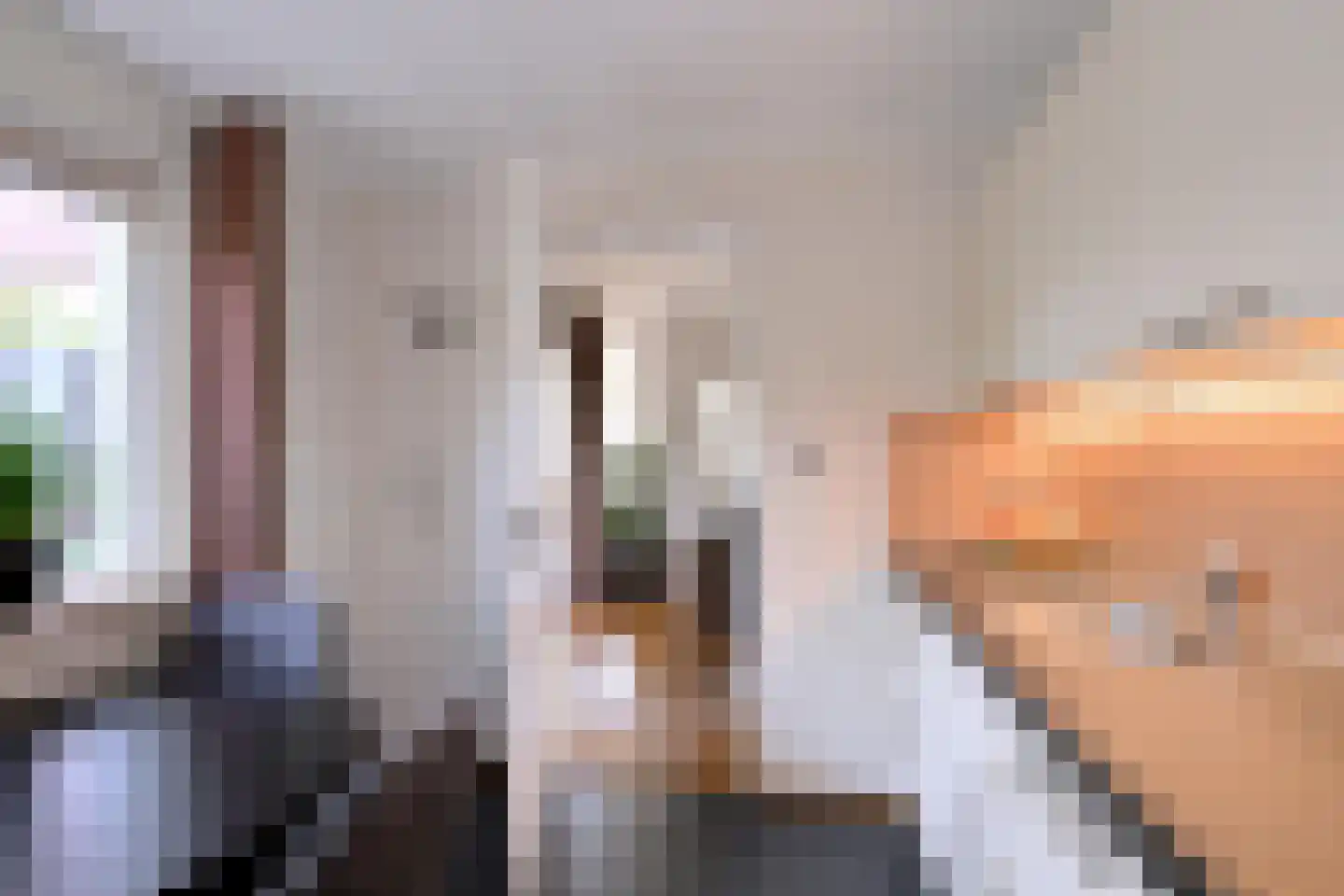 Dahliastraat 3 Olst thumbnail 19