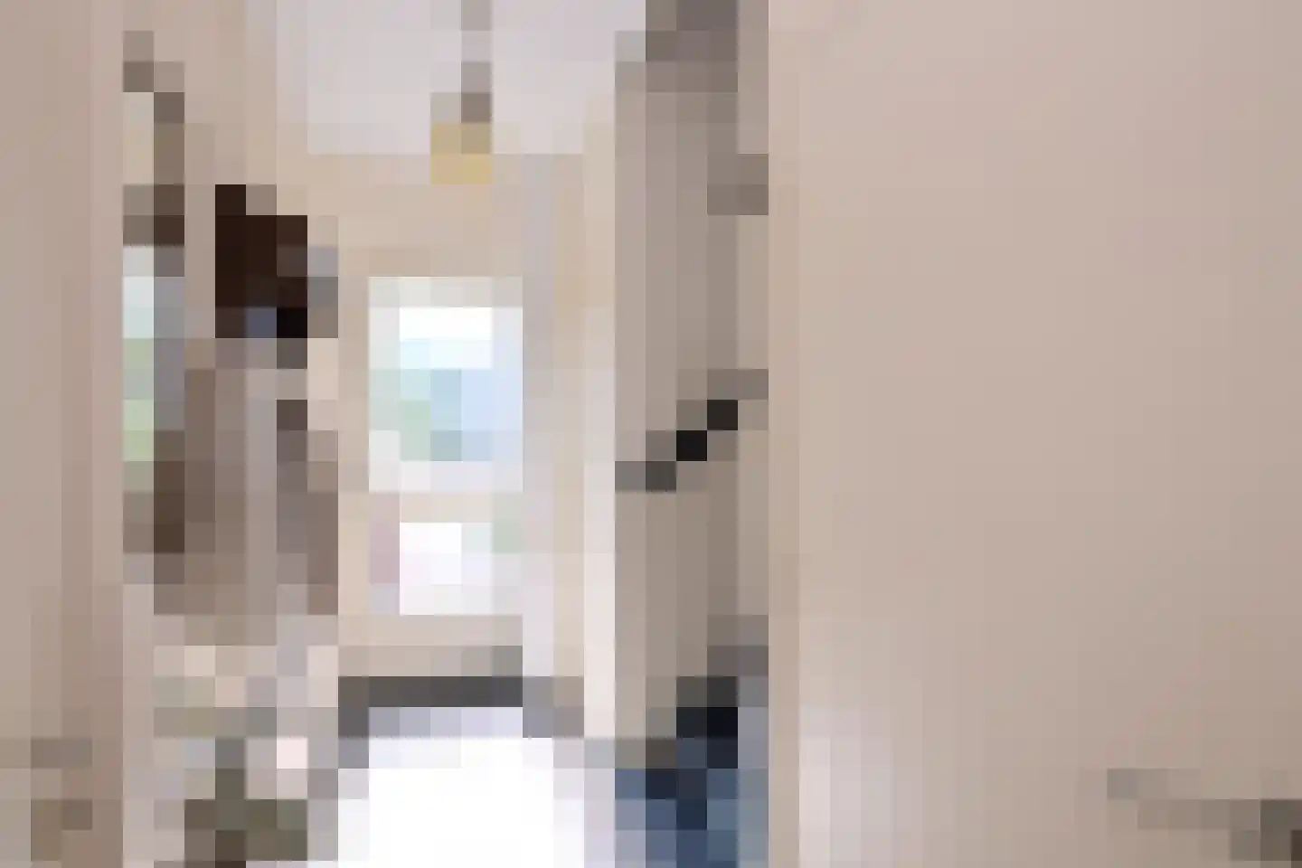 Dahliastraat 3 Olst thumbnail 20