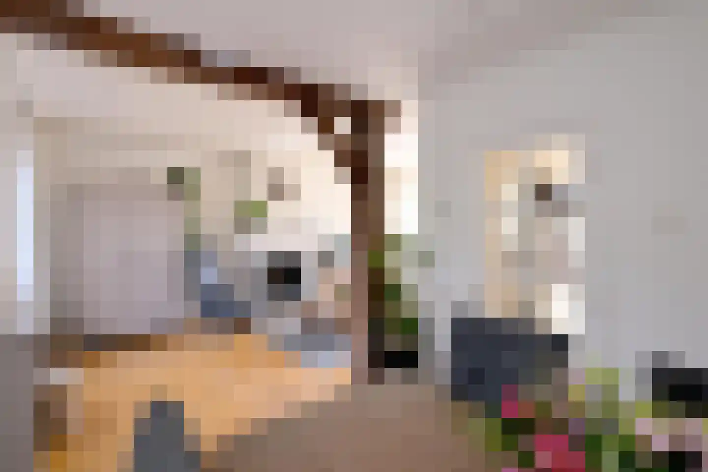 Dahliastraat 3 Olst thumbnail 4