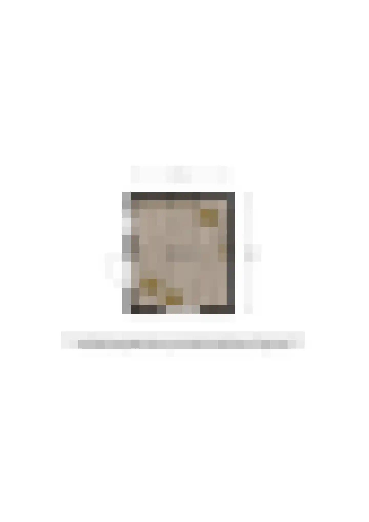 Dahliastraat 3 Olst thumbnail 41