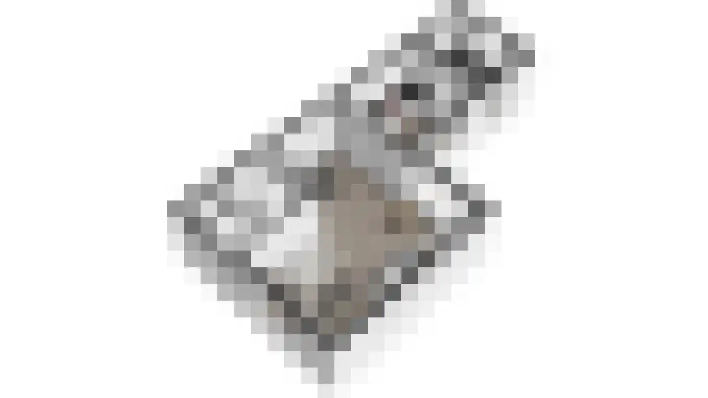 Dahliastraat 3 Olst thumbnail 42