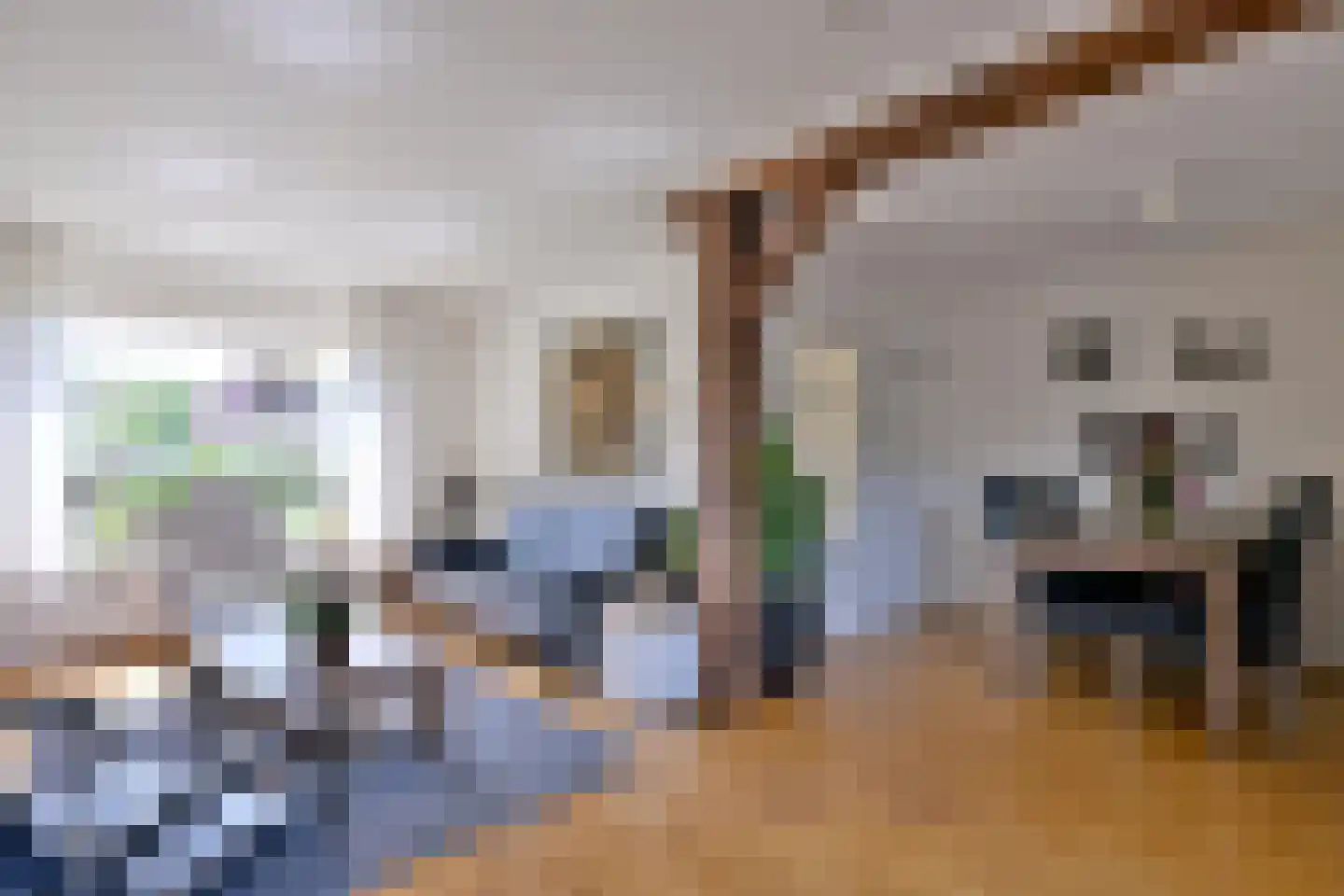 Dahliastraat 3 Olst thumbnail 6