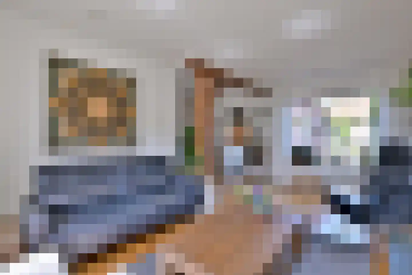 Dahliastraat 3 Olst thumbnail 7