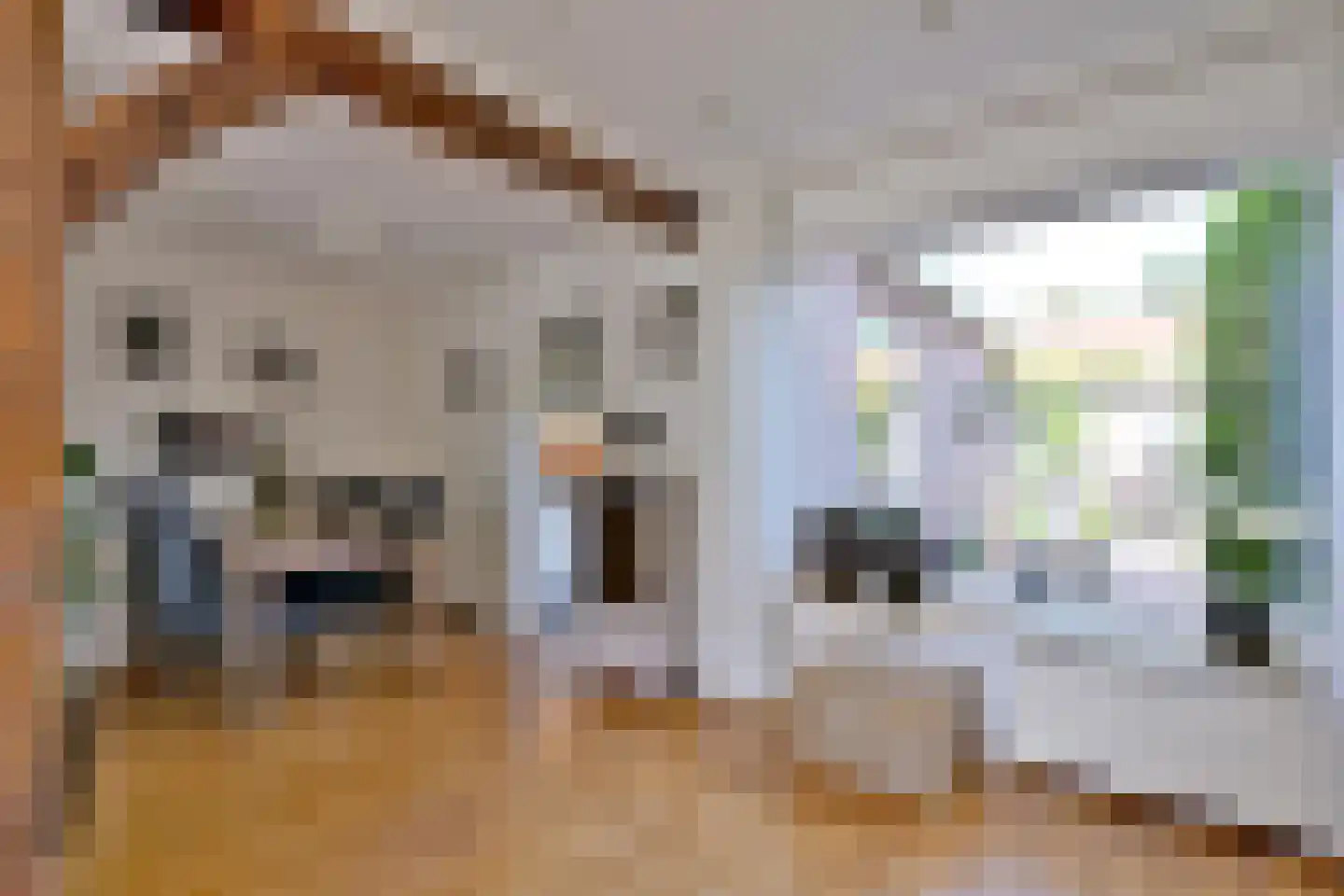 Dahliastraat 3 Olst thumbnail 9