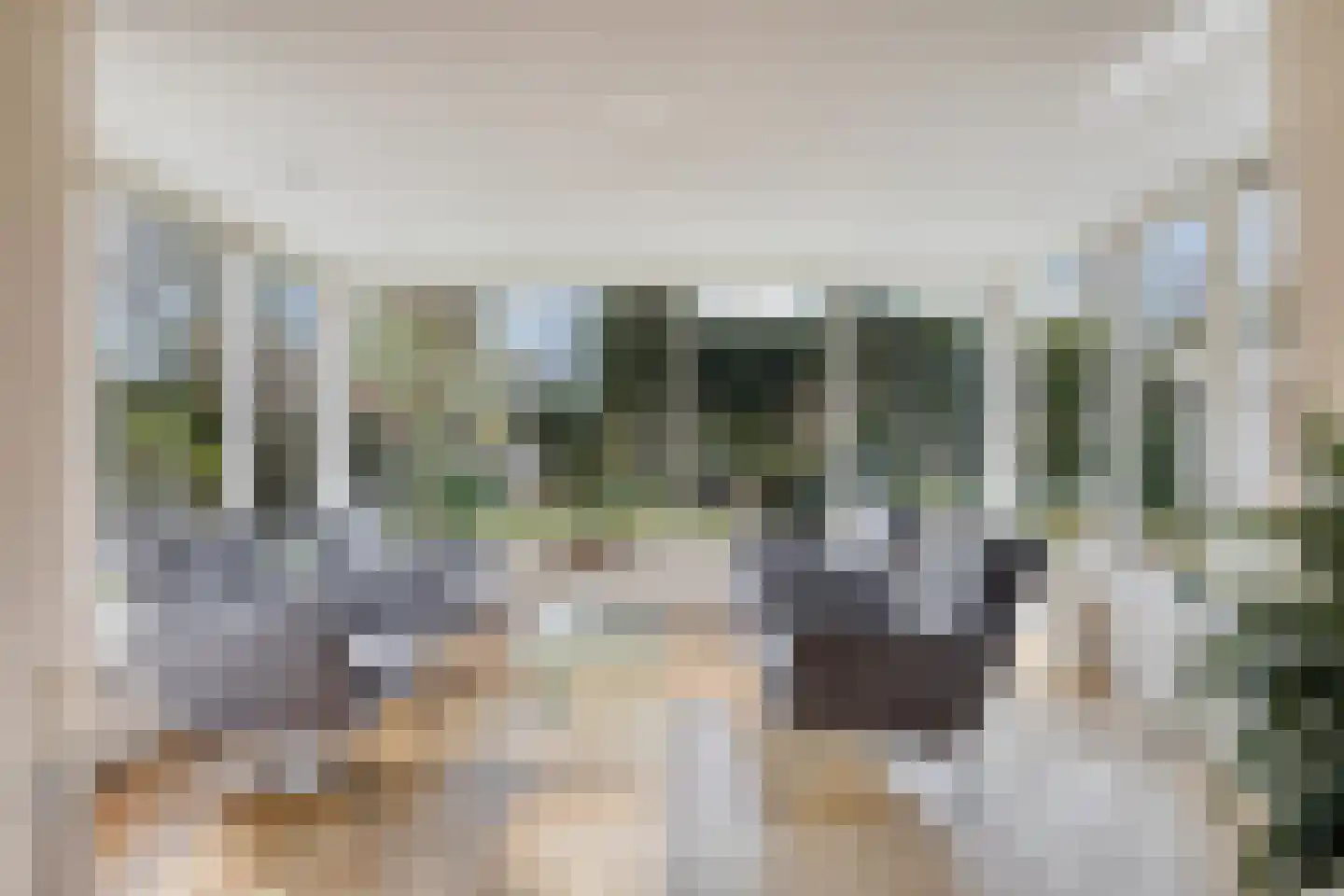 Dahliastraat 3 Sint-Michielsgestel thumbnail 12