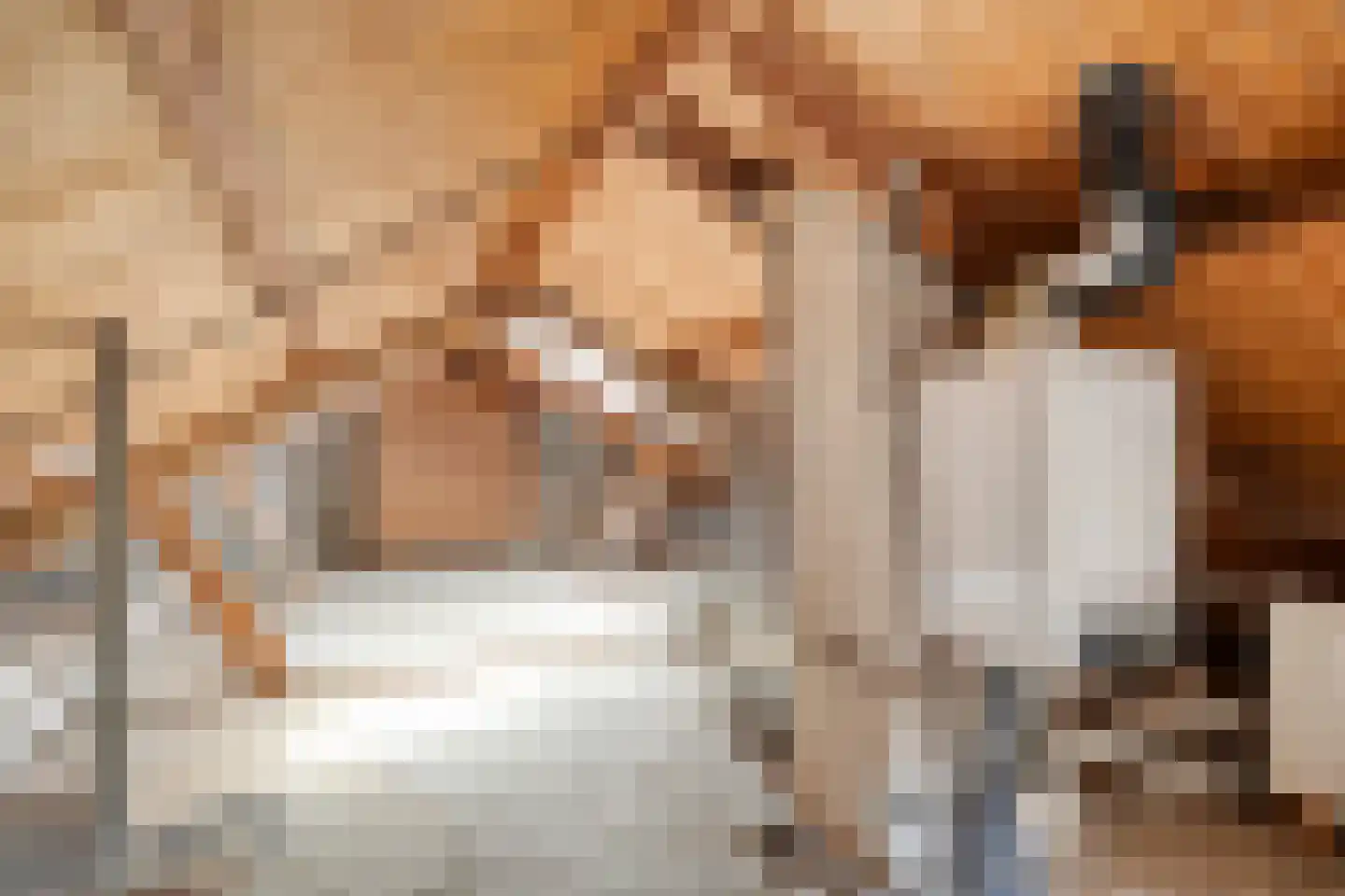 Dahliastraat 3 Sint-Michielsgestel thumbnail 25