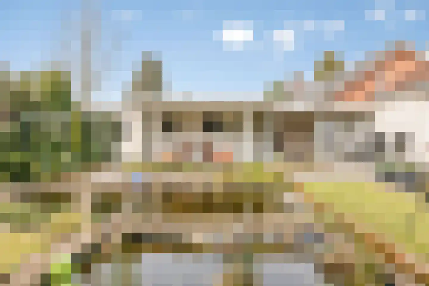Dahliastraat 3 Sint-Michielsgestel thumbnail 31