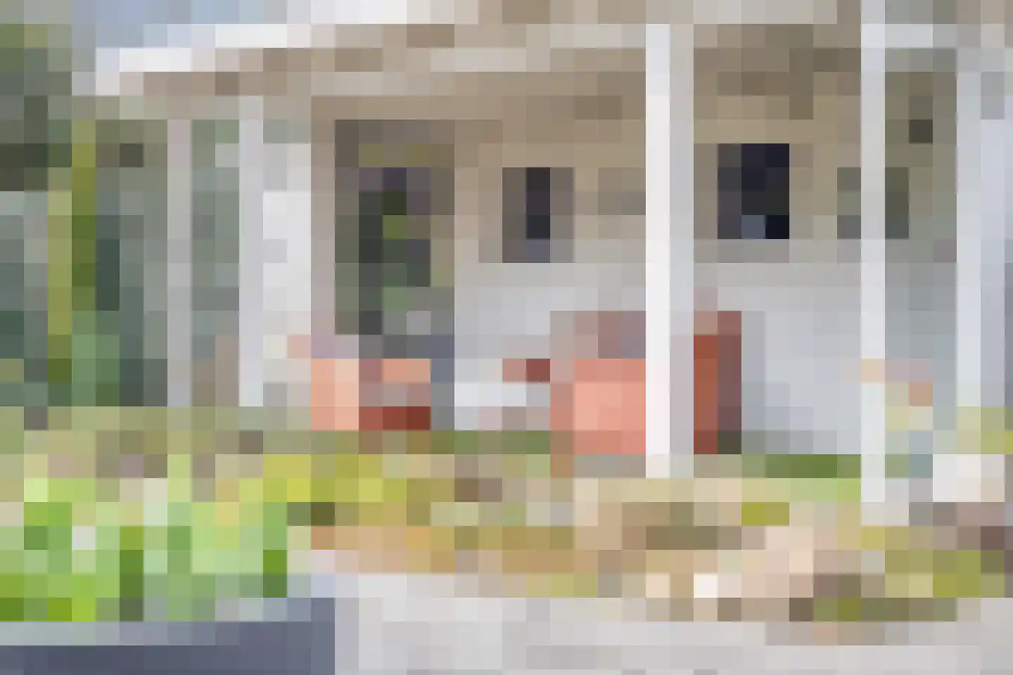Dahliastraat 3 Sint-Michielsgestel thumbnail 32