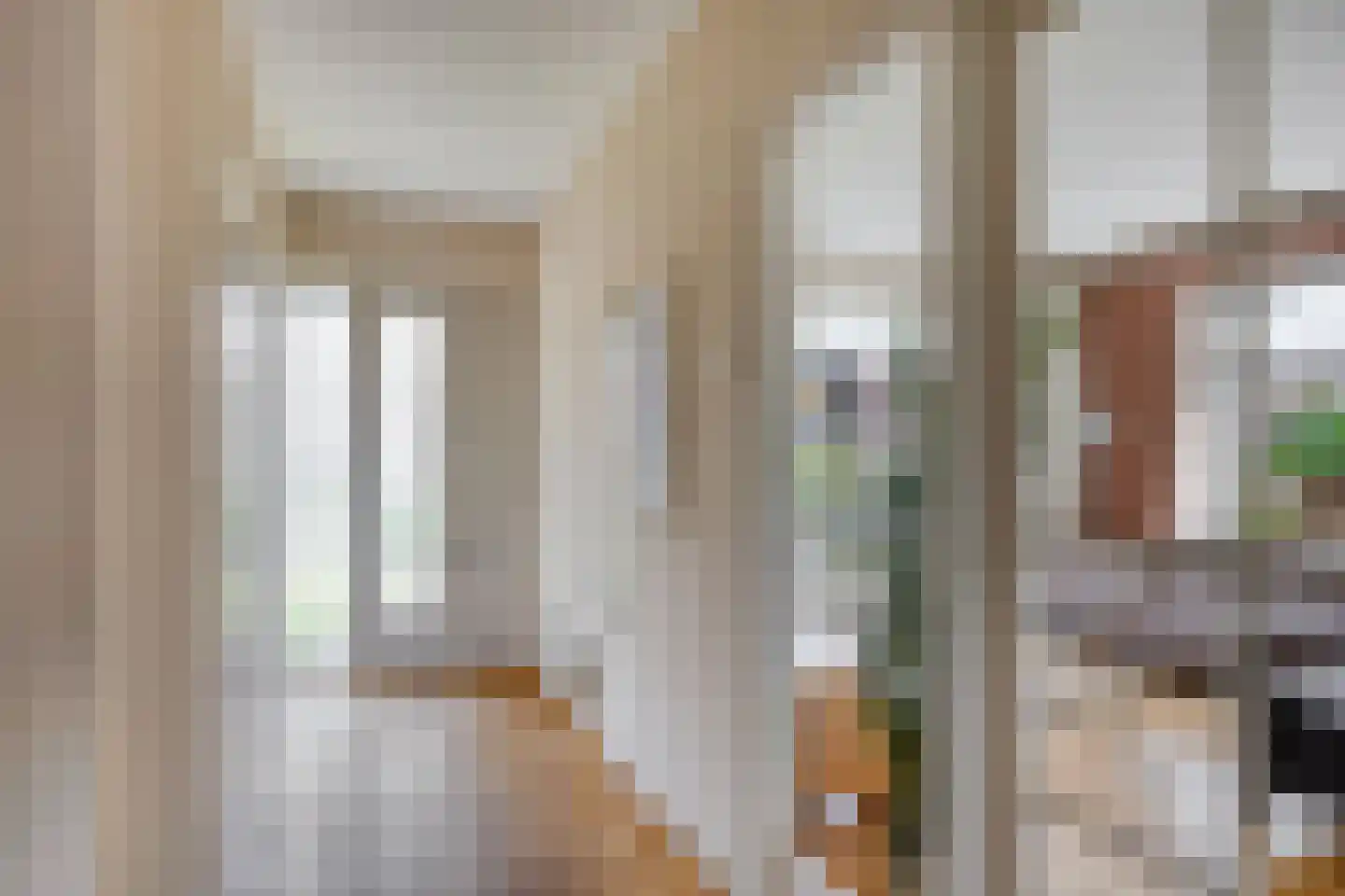 Dahliastraat 3 Sint-Michielsgestel thumbnail 6