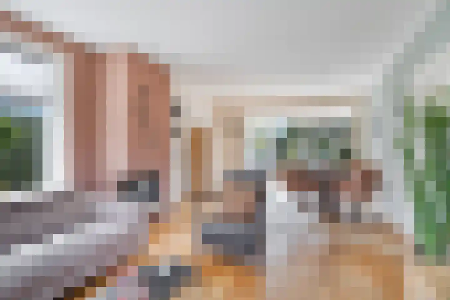 Dahliastraat 3 Sint-Michielsgestel thumbnail 9