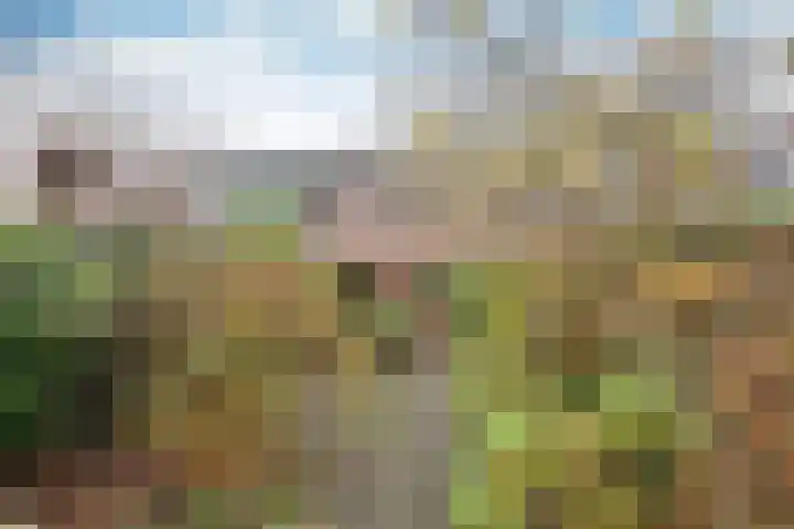 Dahliastraat 30 Hilversum thumbnail 19